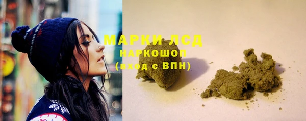 прущие крисы Алзамай