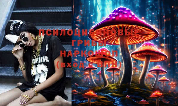 шишки Алексеевка