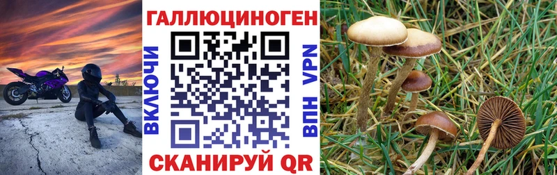 дарк нет какой сайт  хочу наркоту  Кимовск  Псилоцибиновые грибы прущие грибы 