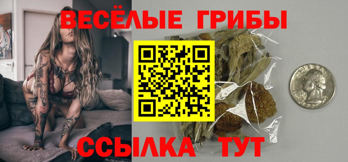 Псилоцибиновые грибы MAGIC MUSHROOMS Кимовск