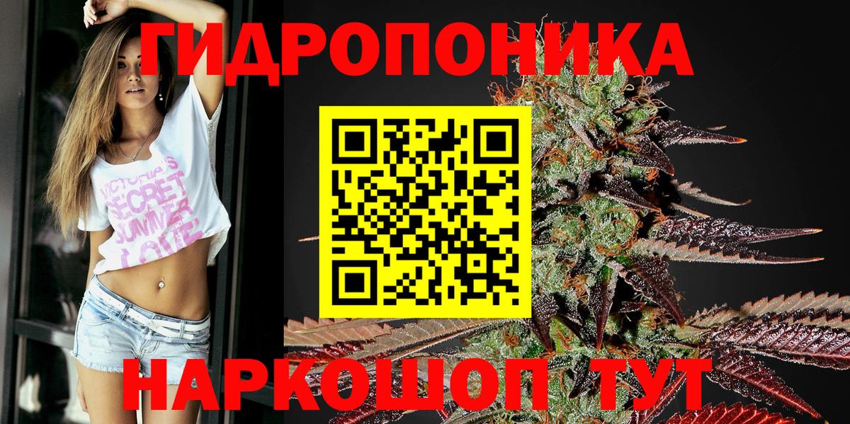 Канабис VHQ  Вход с VPN  Кимовск  Шишки марихуана гибрид  Бошки марихуана OG Kush 